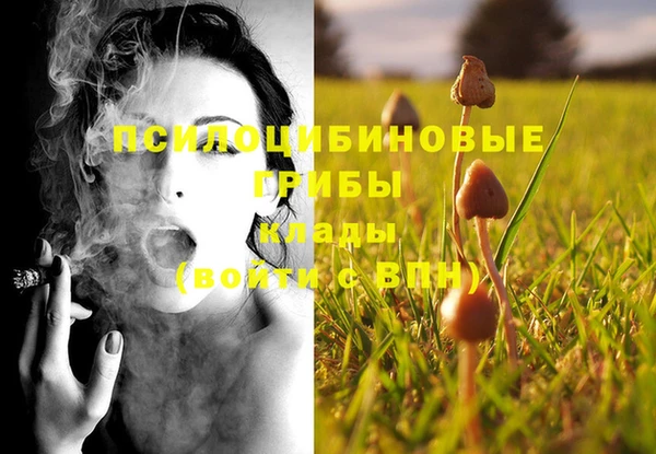 скорость Богданович