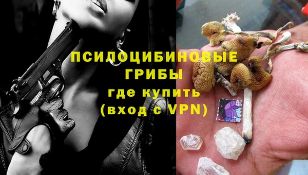 гидропоника Богородск