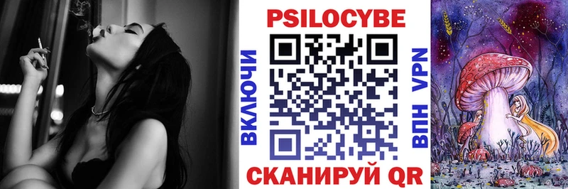 omg tor  Назарово  Галлюциногенные грибы Psilocybe 